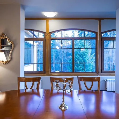 Sonja Villa