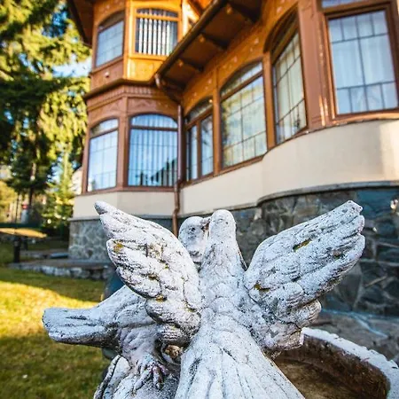 Sonja Villa