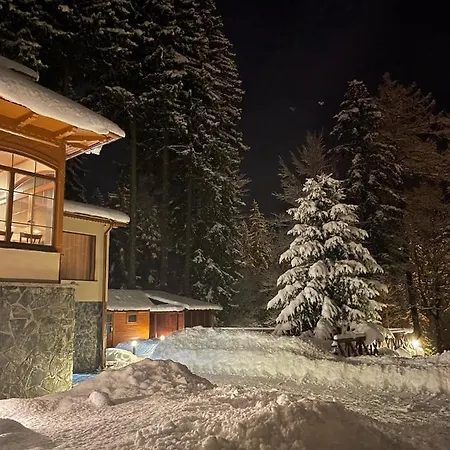 Sonja Villa